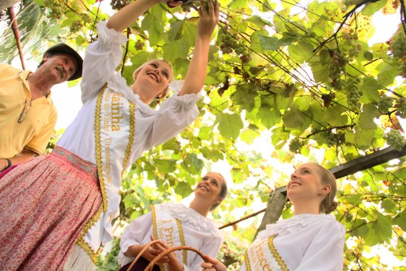 Lançamento da 10ª Vindima Goethe é nesta terça-feira