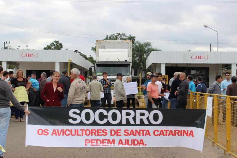 Avicultores iniciam novas manifestações no Sul do Estado