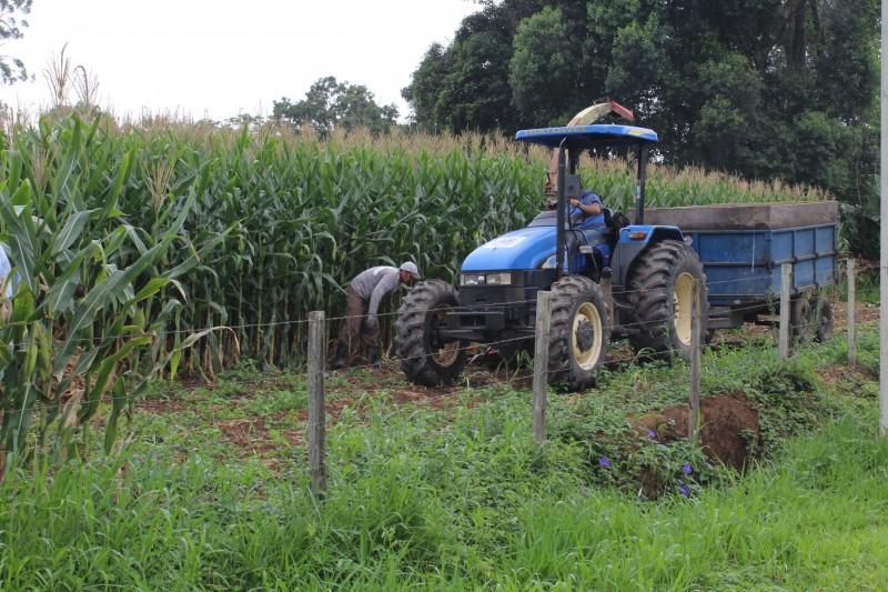 Secretaria Municipal de Agricultura incentiva produção de silagem