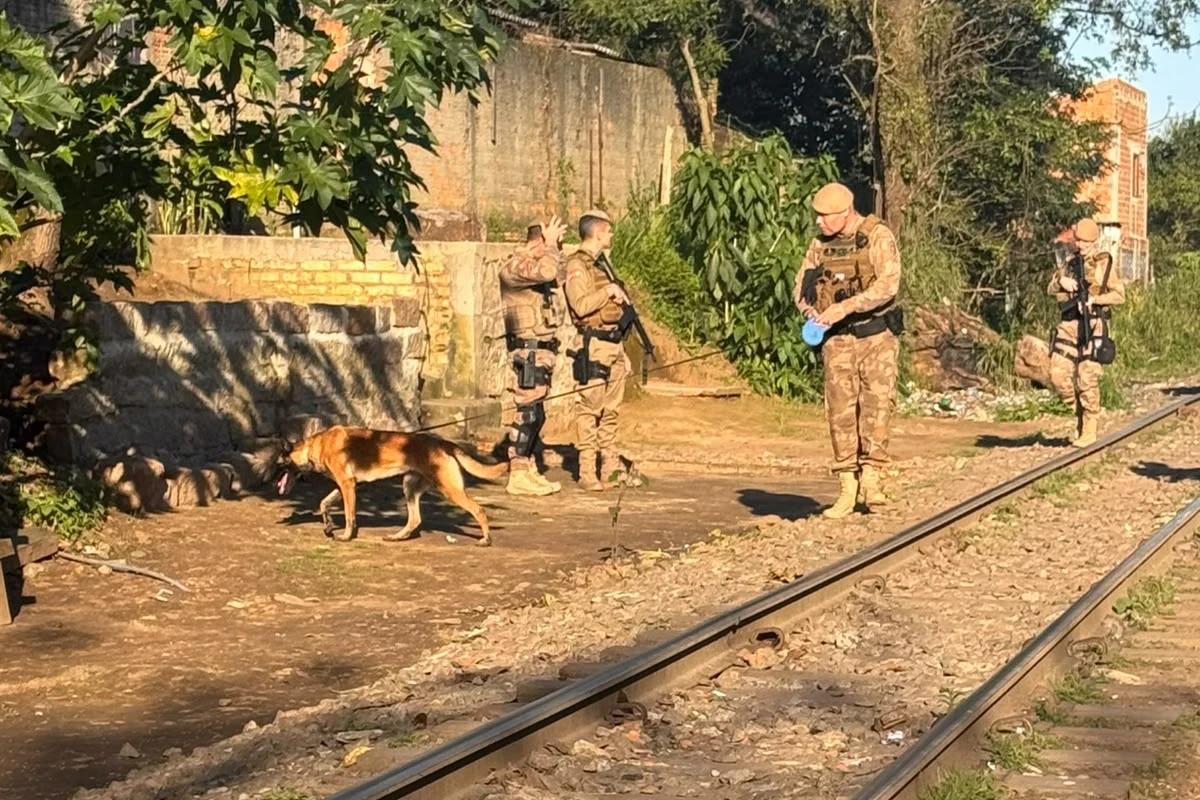Operação Apneia ganha nova fase e limpeza de terrenos são feitas no bairro Pinheirinho; veja fotos e vídeos