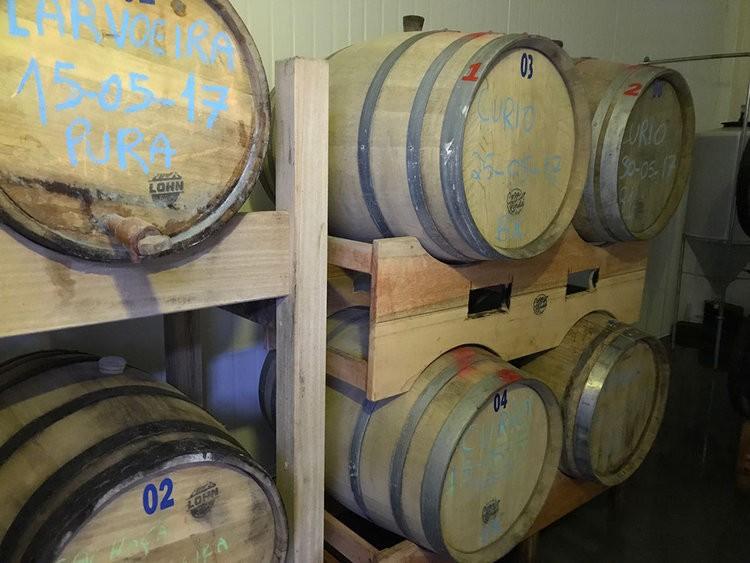 Cervejeiros do Sul buscam barris de madeira, lúpulos e boas histórias