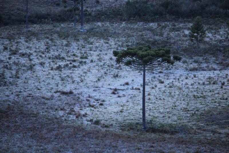  Serra Catarinense apresenta o maior número de temperaturas negativas desde 1978 