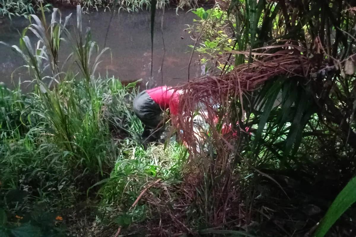 Mulher é encontrada morta às margens de rio
