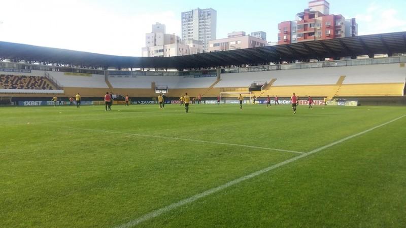 Tigre com novidade e encaminhado