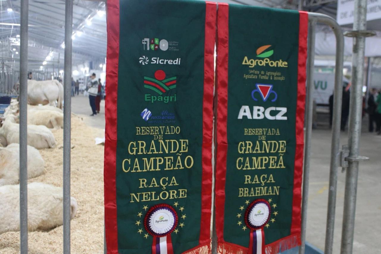 AgroPonte 2025: premiações do julgamento de raças celebram o centenário de Criciúma