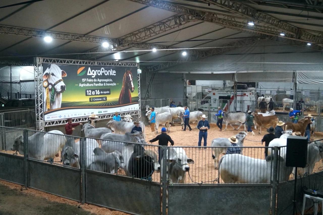 Feira AgroPonte encerra 15ª edição com público próximo de 110 mil visitantes
