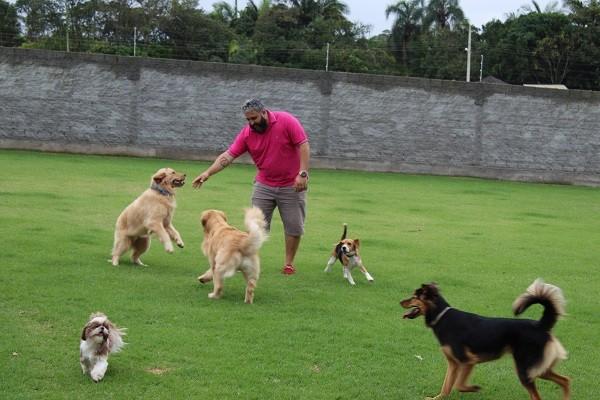 Creche para cães: cuidado, amor e dedicação aos animais