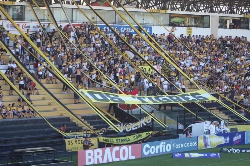 Os Tigres emite nota sobre desistência de Anselmo Freitas e garante apoio ao atual presidente 