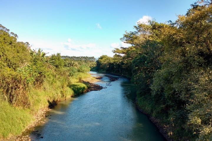 Comitê do Rio Araranguá sediará projeto piloto para rizicultura
