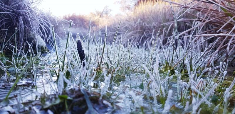 Típico inverno: temperaturas abaixo de zero e geada em Santa Catarina
