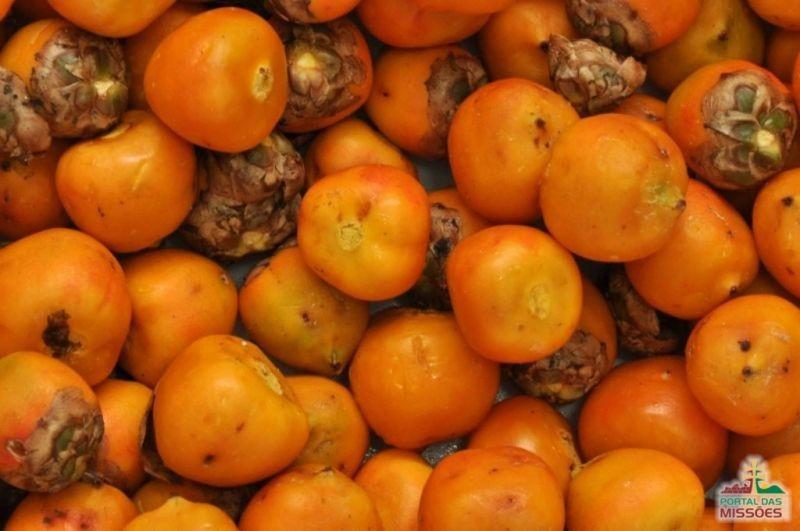 Homem leva tiro de espingarda ao colher fruta em terreno baldio