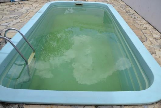 Mosquito da dengue usa, também, água de piscinas para se reproduzir