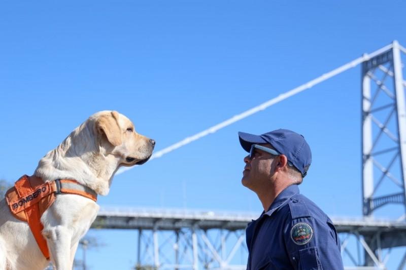 Corpo de Bombeiros Militar de SC investe em treinamento conjunto com cães
