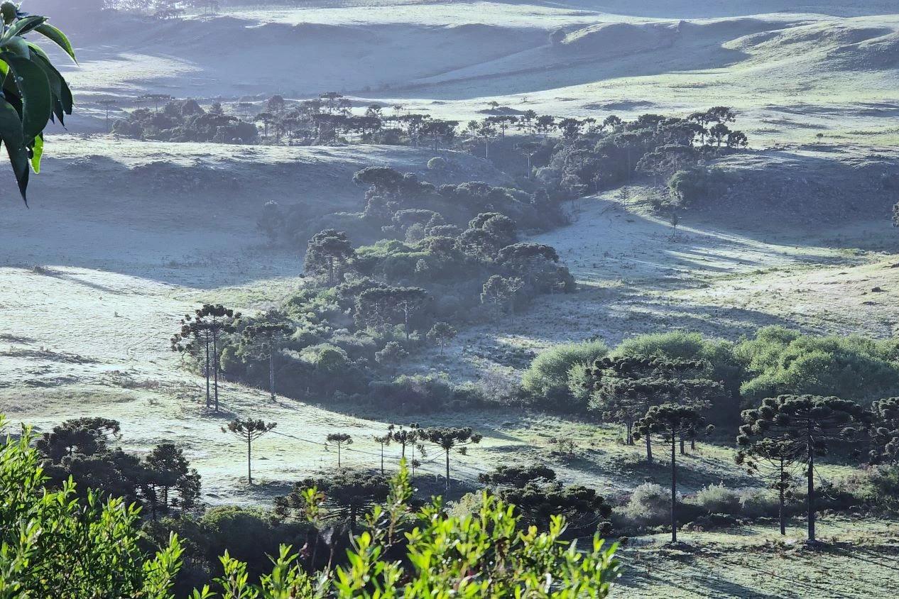 Santa Catarina pode registrar a primeira neve de 2025