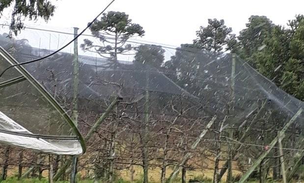 São Joaquim e Urubici têm os primeiros registros de neve
