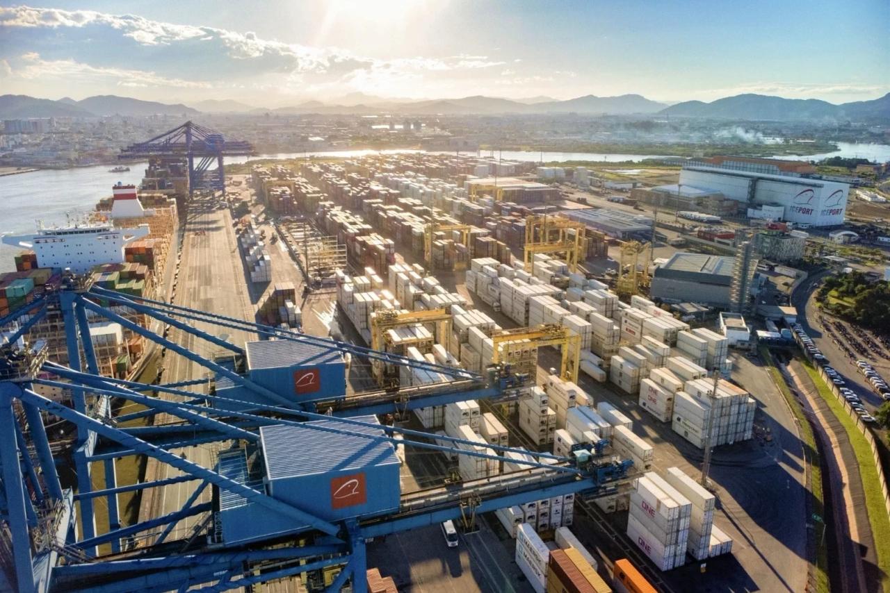 Santa Catarina registra recordes na exportação de carnes no primeiro quadrimestre de 2025