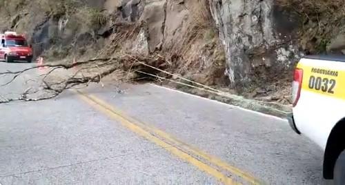 Árvores caídas são retiradas na Serra do Rio do Rastro