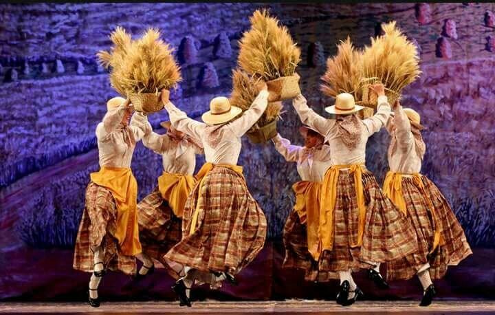 Grupo Folclórico Ítalo Brasileiro de Nova Veneza volta ao Festival de Dança