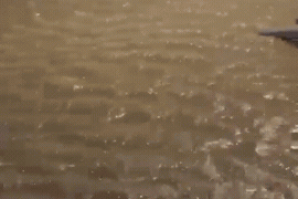 Vídeos: possível tsunami meteorológico provoca avanço do mar e deixa estragos no Sul catarinense