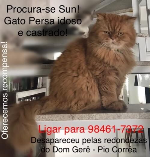 Procura-se Sun