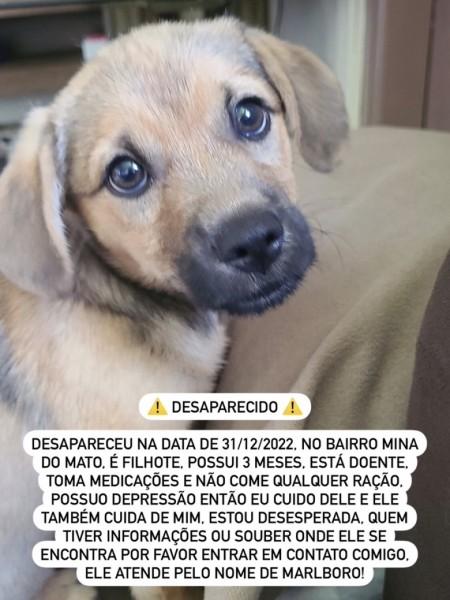 Procura-se Malboro