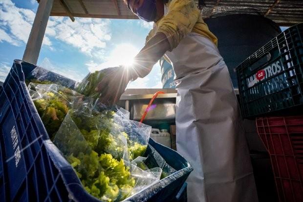 Fapesc seleciona bolsistas para desenvolver inovações para a agricultura e o agronegócio em SC
