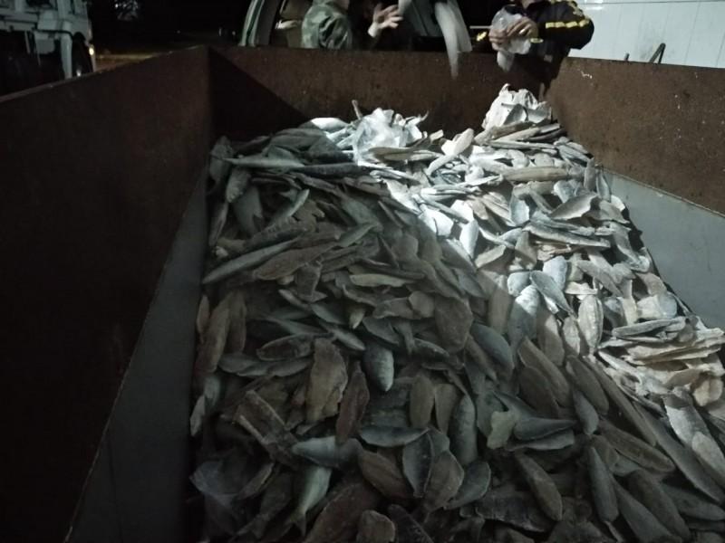 Polícia Ambiental apreende cerca de uma tonelada de pescados irregulares 