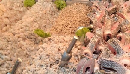 Peixarias que funcionam no Mercado Público de Florianópolis estão com atividades suspensas