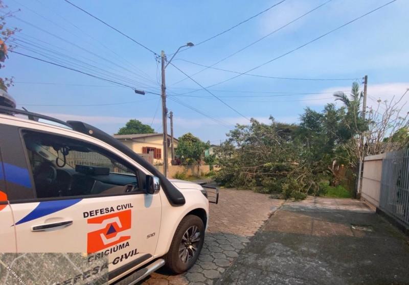 Epagri alerta para temporais localizados em SC; em Criciúma, vento já provocou queda de árvore