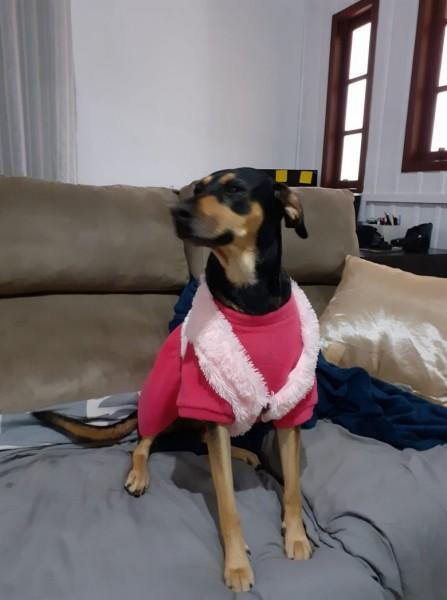 ENCONTRADA - Procura-se Luna