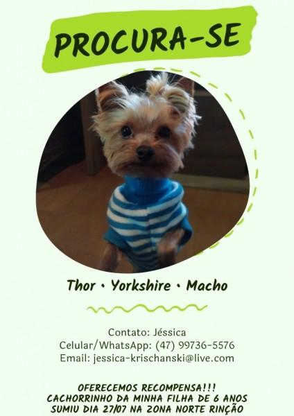 Procura-se Thor