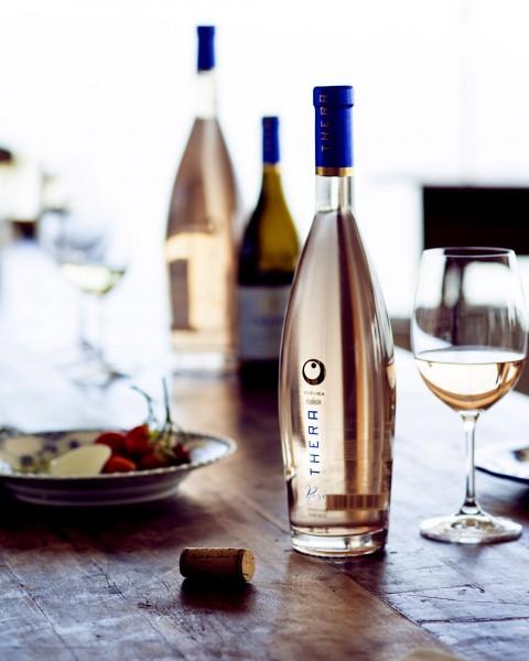 A excelência dos vinhos da serra catarinense e da gastronomia à mesa