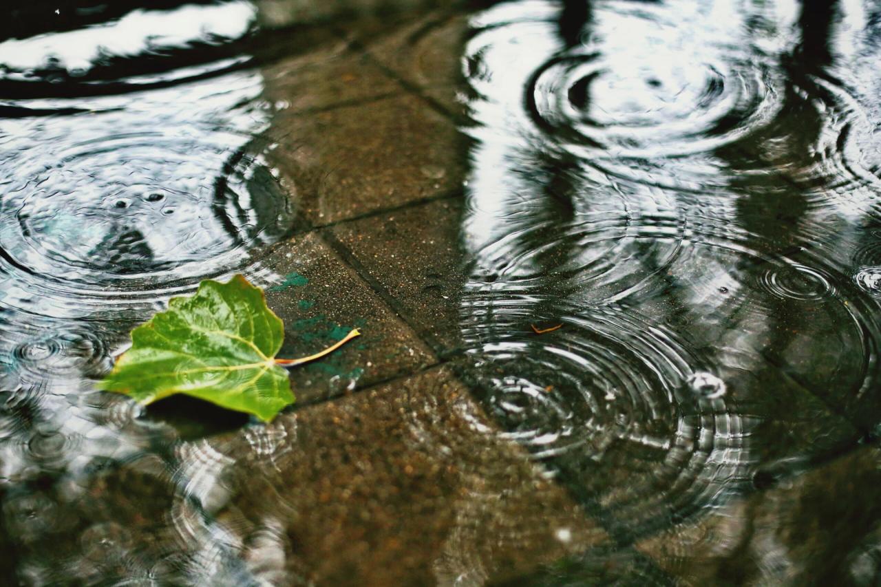 Criciúma terá terça-feira nublada e com pancadas de chuva