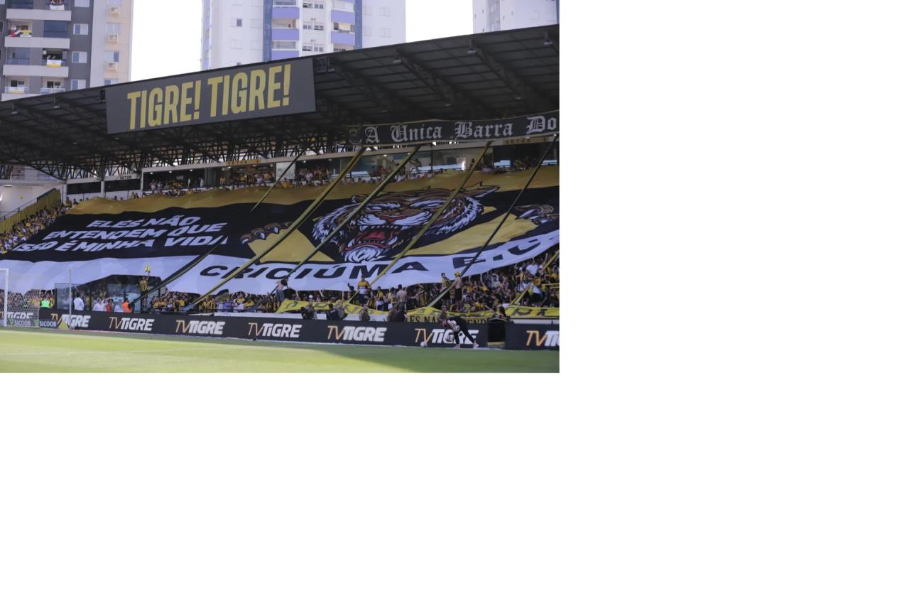 Diretoria do Tigre pretende colocar telão no Majestoso para jogo contra o Cuiabá