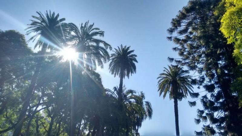 Onda de calor deve permanecer pelo menos até o próximo sábado, aponta Defesa Civil