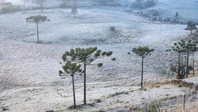 Frio na Serra: confira uma galeria de fotos do amanhecer gelado em SC