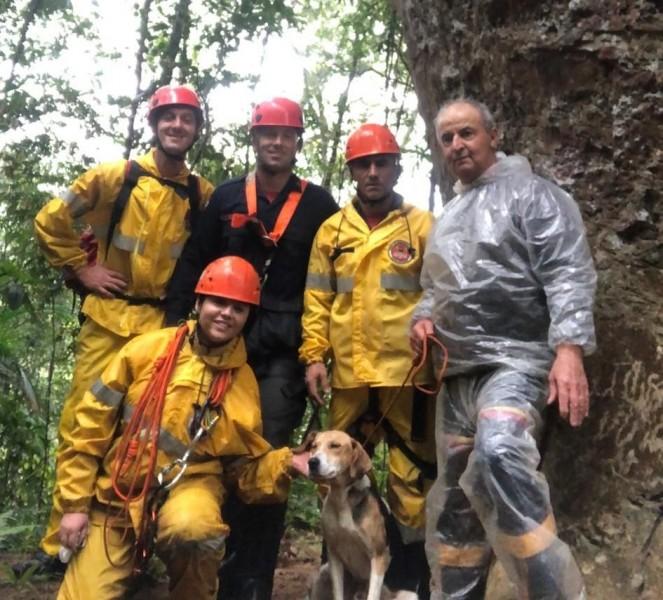 Cachorro cai de altura de 20 metros de altura e é resgatado por bombeiros