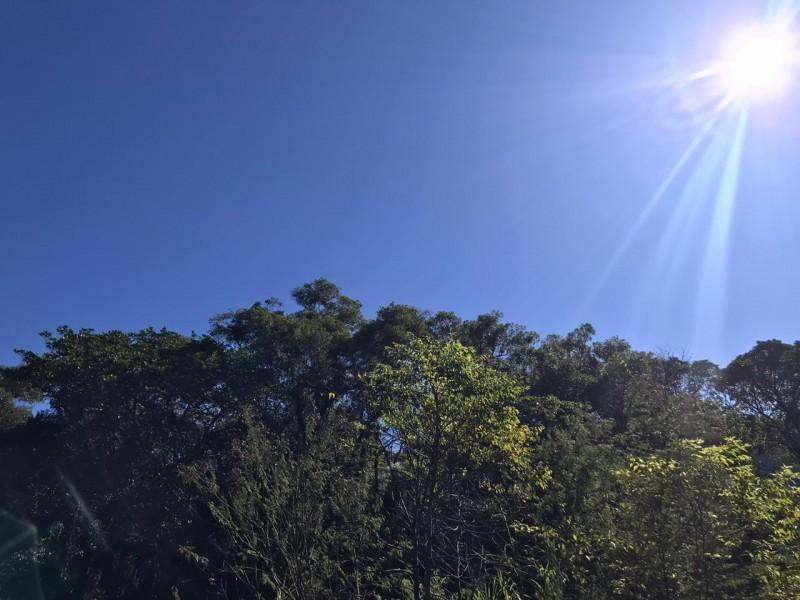 Fim de semana terá sol e máxima de 36°C em Criciúma e região; confira a previsão do tempo