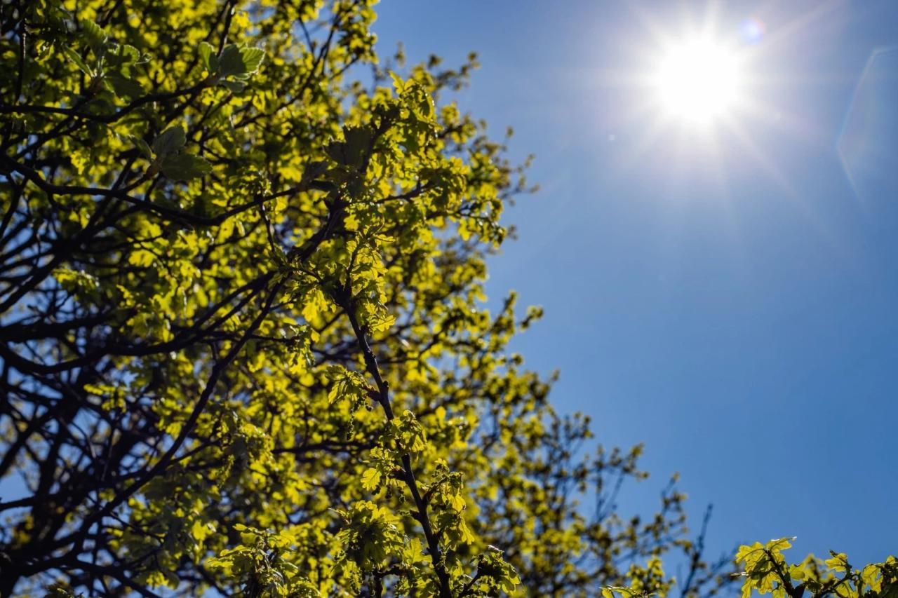 Fim de semana terá temperaturas elevadas e risco de chuva no Sul de SC; veja a previsão
