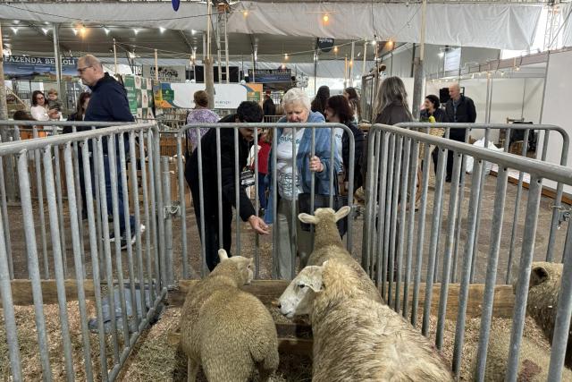 Afasc promove visita de 300 participantes à 15ª edição da Feira AgroPonte