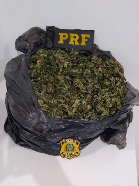 PRF apreende 1,3 kg de supermaconha na BR-101 em Paulo Lopes