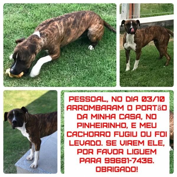 ENCONTRADO - Thor