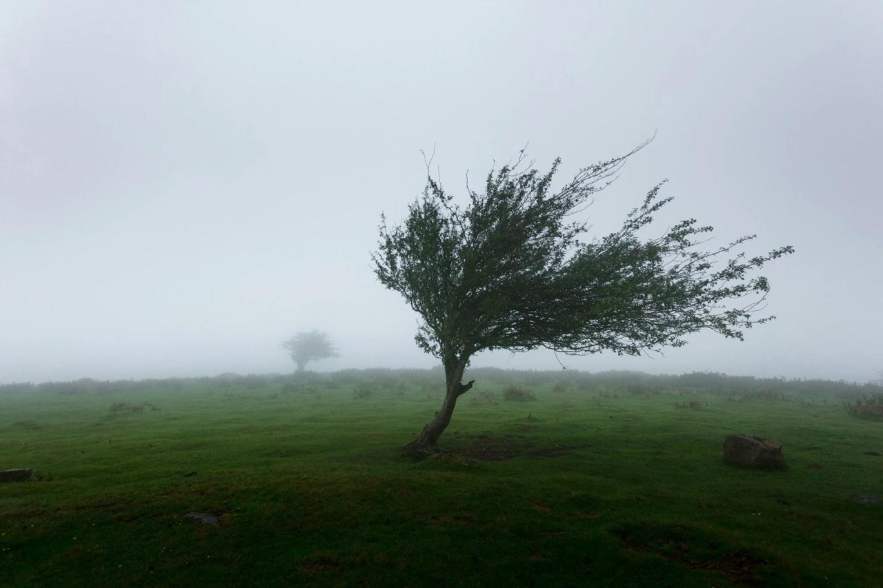 Ventos fortes e queda nas temperaturas marcam a semana no Sul de Santa Catarina