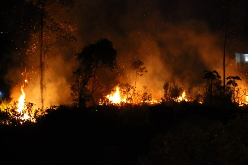 Incêndio de grandes proporções atinge vegetação em área residencial no bairro São Simão