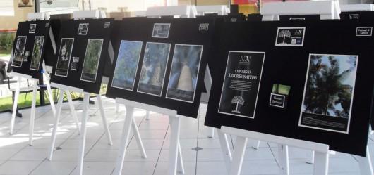 Faculdades Esucri recebe exposição fotográfica Árvores Nativas