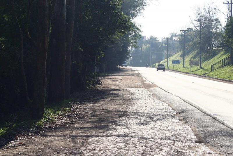 Com corte de árvores, trânsito terá alterações na SC-390, em Lauro Müller 