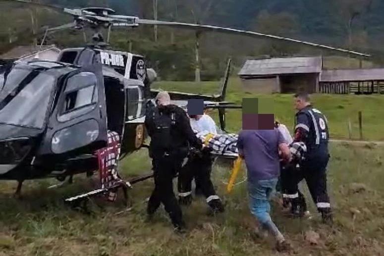 Queda de eucalipto deixa trabalhador ferido em Treviso