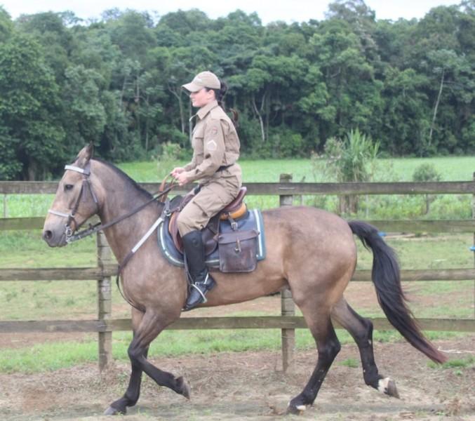 Pela primeira vez, uma mulher fará parte da Cavalaria da CPT: 'satisfação muito grande', afirma