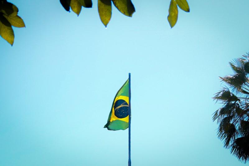 Que setores estão prosperando na economia em crescimento do Brasil?