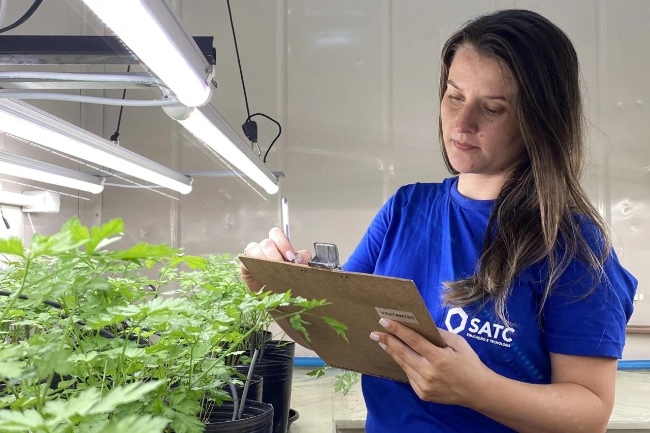 Container de cultivo automatizado recria qualquer clima e acelera testes agrícolas em Criciúma
